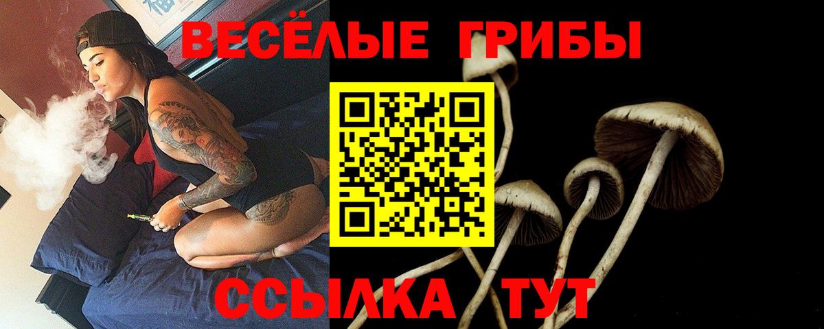 Псилоцибиновые грибы Cubensis Заводоуковск